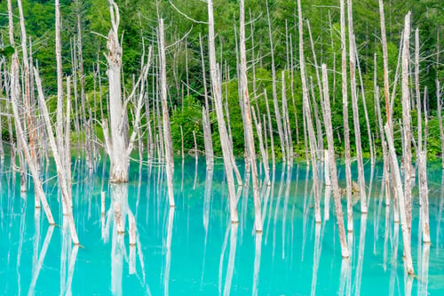 Hokkaido-Blue-Pond