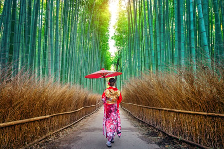 Arashiyama Bamboo Grove