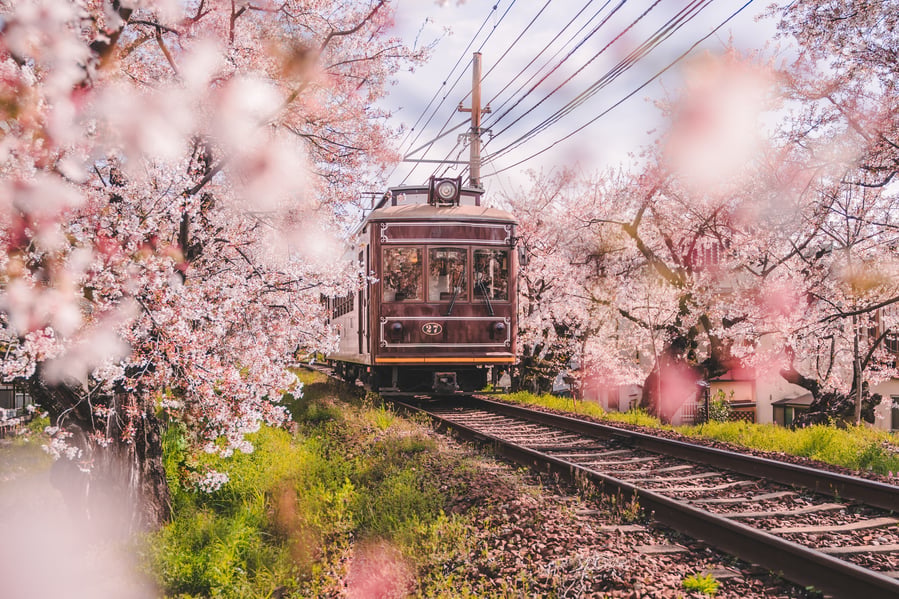 Kyoto Train