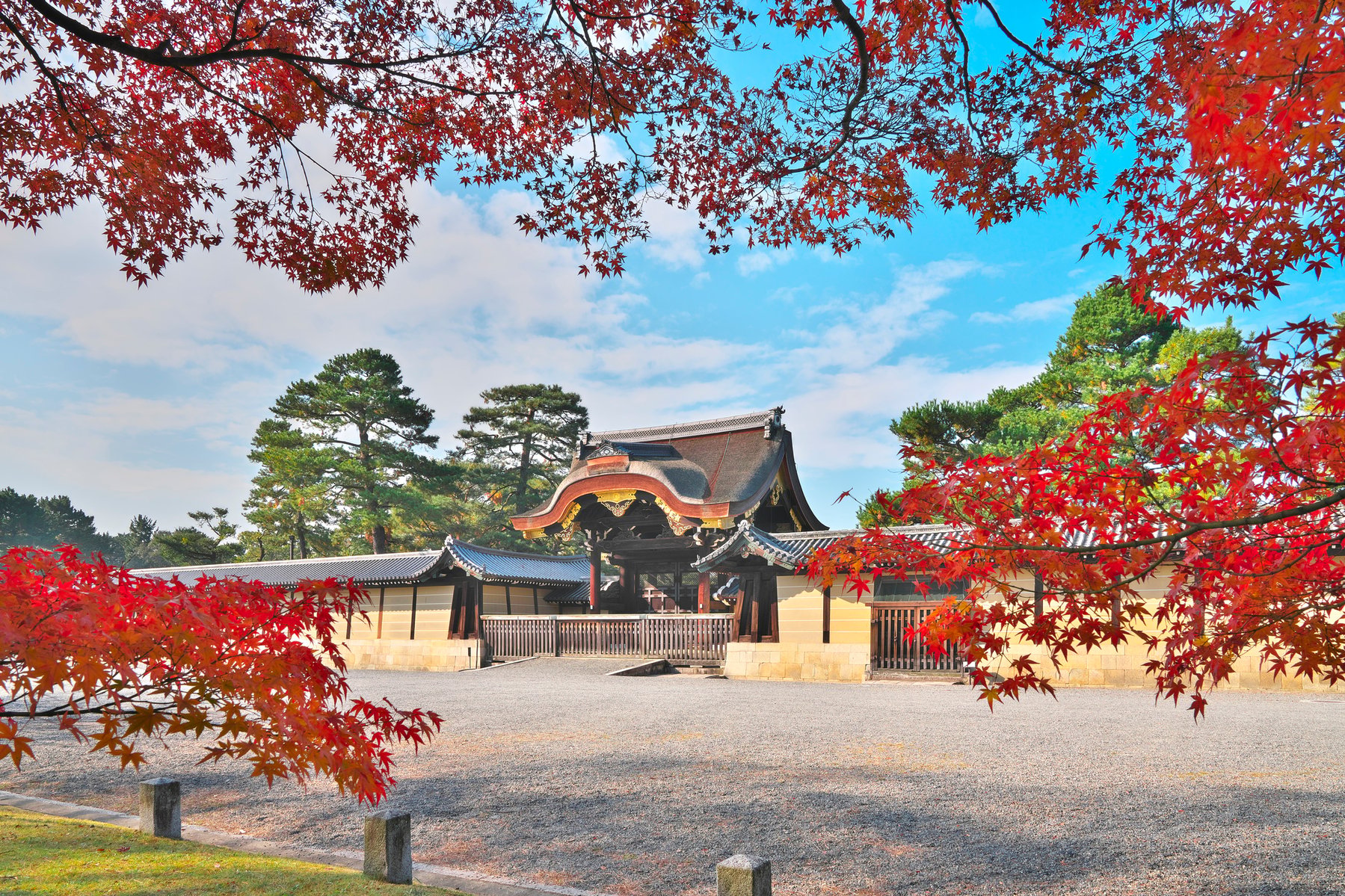 kyoto gyoen in autumn