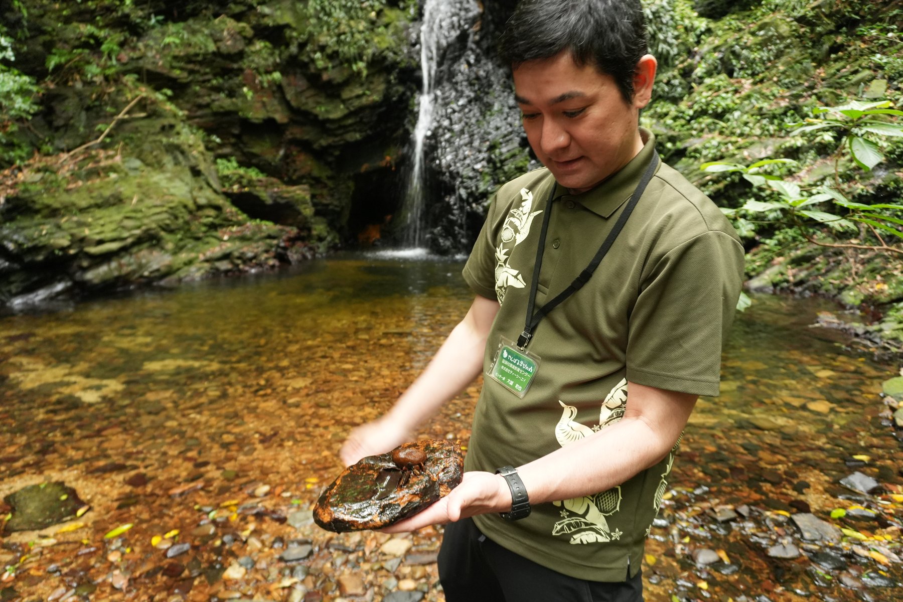 UNESCO Yanbaru Forecast Experience