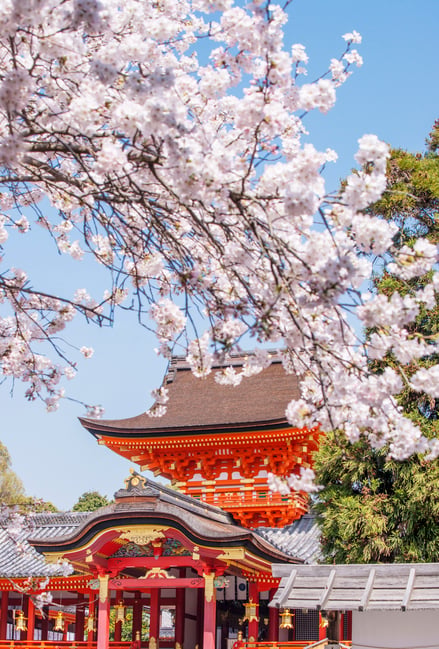 Kyoto-Ishimizu-Hachimangu